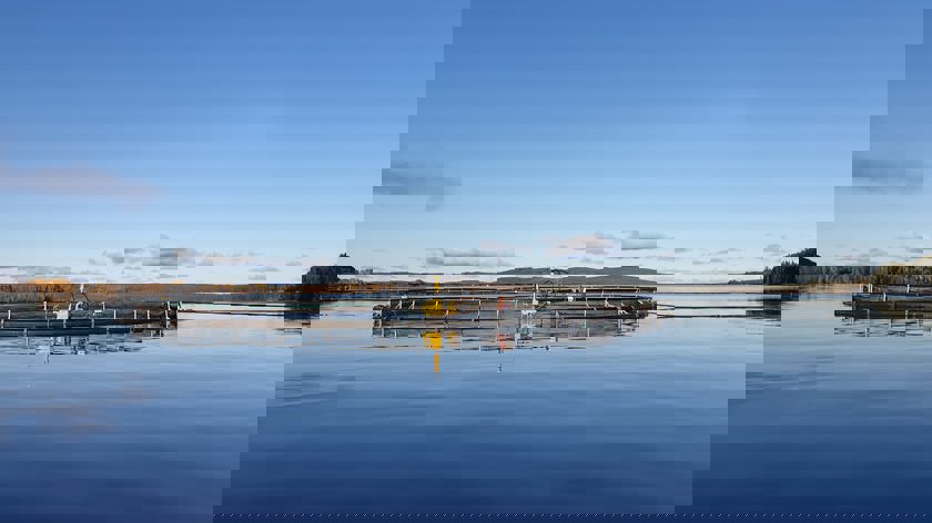 Odling Vattudalens Fisk