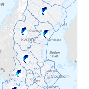 Sverigekarta som illustrerar i vilka län som medlemsföretagen bedriver verksamhet.