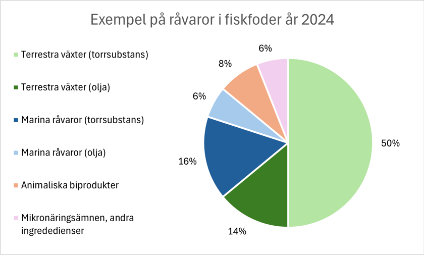 Råvaror i foder år 2024