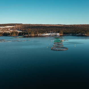 Bild på Vattudalens Fisks odling