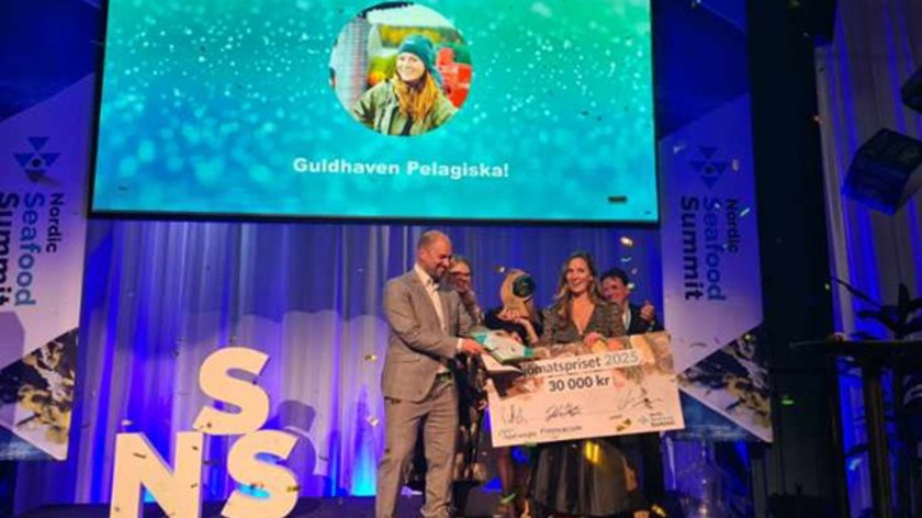 Guldhaven pelagiska vinnare av sjömatspriset 2025