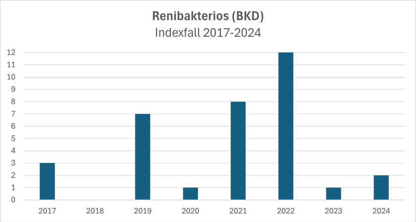 Renibakterios (BKD) 2017-2024